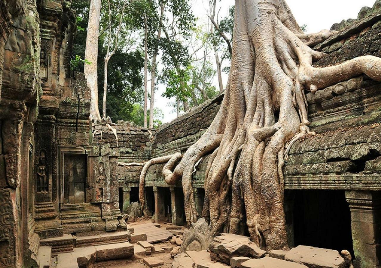 Anachak Angkor Residence Siem Reap Eksteriør billede