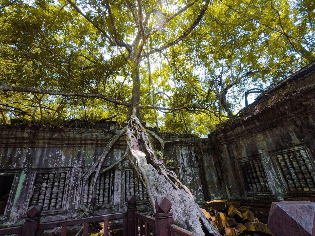 Anachak Angkor Residence Siem Reap Eksteriør billede